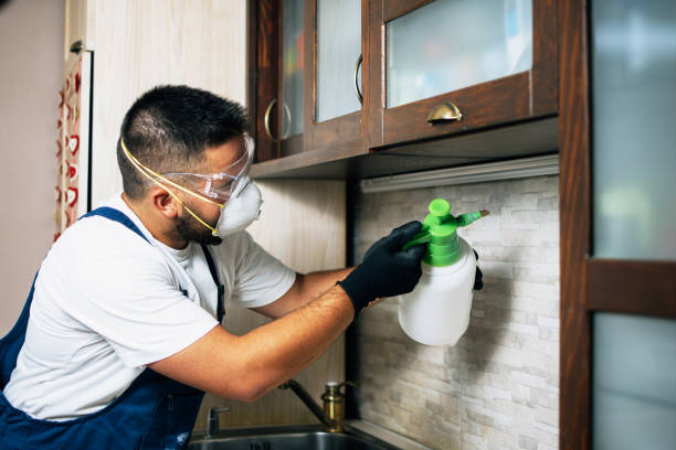 Best Best Pest Control Companies  in Sparta, MI